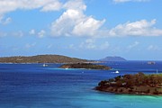Poster / Fine Art Print